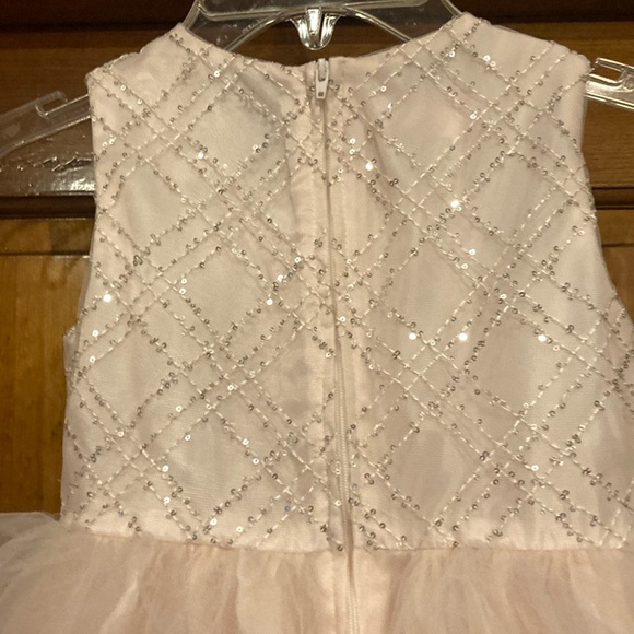 Like New Size 5 Blush Beaded Tulle Flower Girl / Special Occasion Dress - Picture 9 of 11